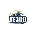 TE 300 (EU)
